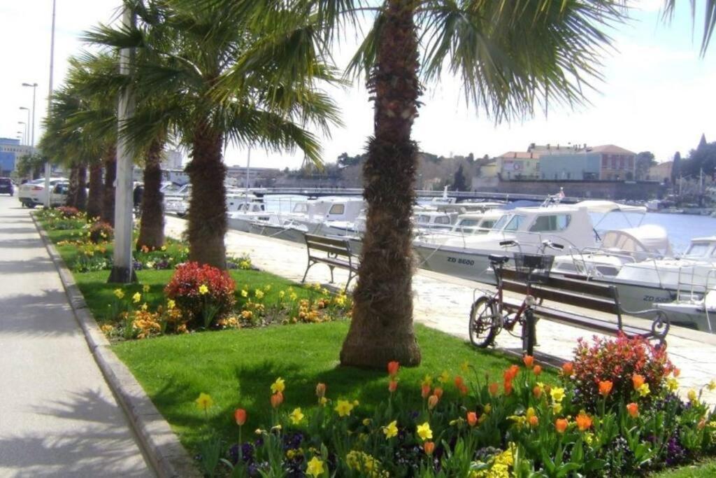 Hygge Zadar Apartment Екстериор снимка